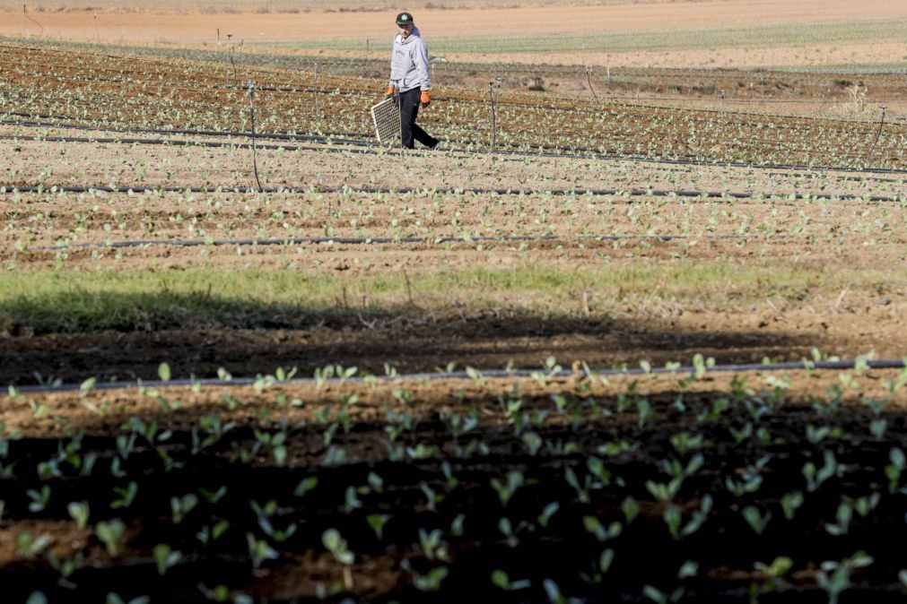 Portugal assegura 6.713 ME com aprovação do plano da PAC