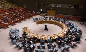Conselho de Segurança da ONU reconhece necessidade de capacitação de países africanos