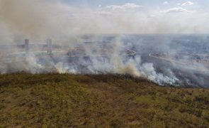 Amazónia brasileira regista em agosto o maior número de incêndios em 12 anos
