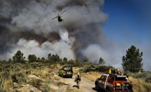 Levantamento dos prejuízos do incêndio na Serra da Estrela pronto na segunda-feira