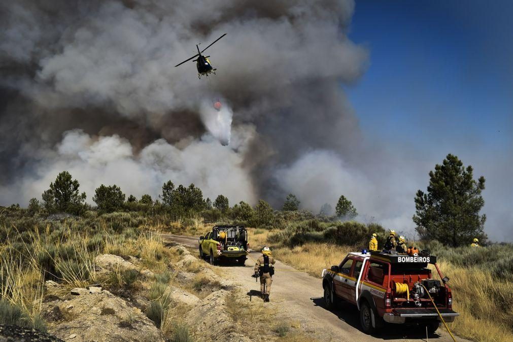 Levantamento dos prejuízos do incêndio na Serra da Estrela pronto na segunda-feira