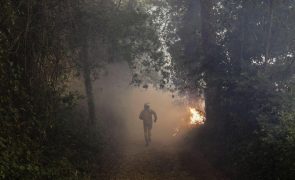 Cinco meios aéreos e 127 bombeiros combatem fogo em Cantanhede