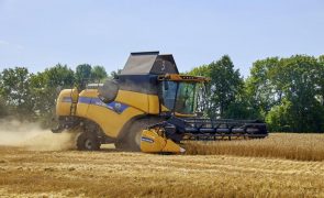 Acordo permtiu a Ucrânia exportar 1,68 milhões de toneladas de cereais no primeiro mês