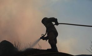 Mais de 130 operacionais combatem duas frentes do fogo em Santo Tirso