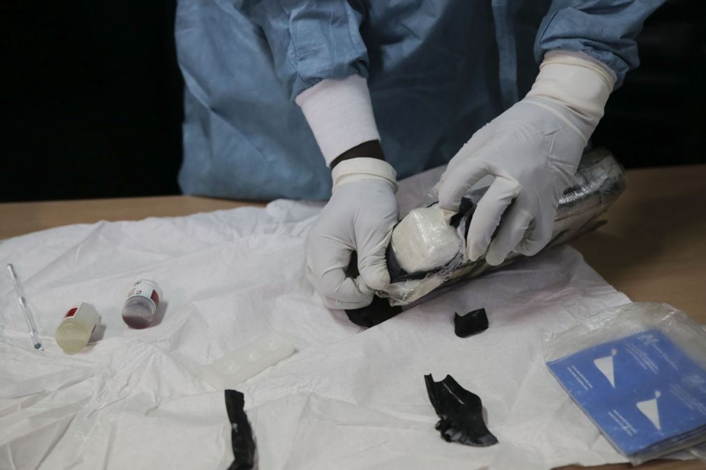 Apreendidos 86 quilogramas de cocaína em Bissau