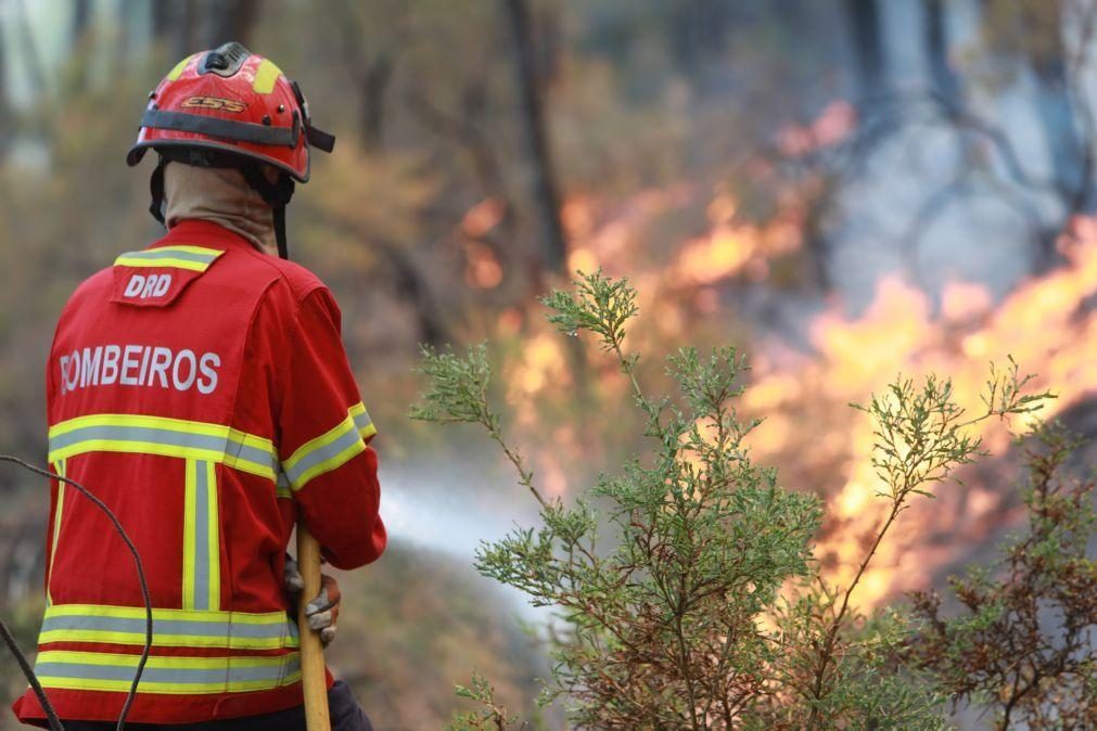 Fogo em Viseu combatido por oito meios aéreos e 125 bombeiros