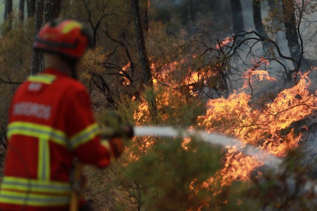 Fogo em Viseu entrou em fase de resolução às 15h16