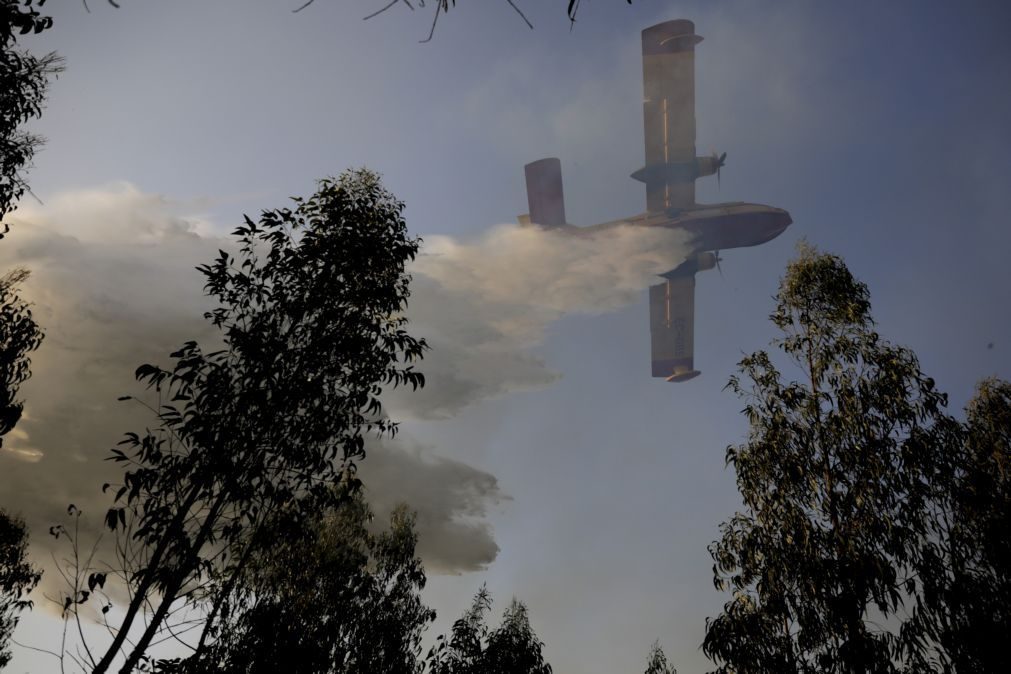 Três meios aéreos e 136 operacionais combatem fogo em Valpaços