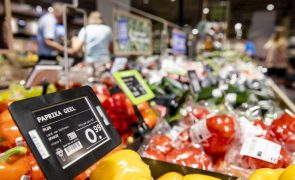 Inflação nos Países Baixos sobe para recorde de 12%