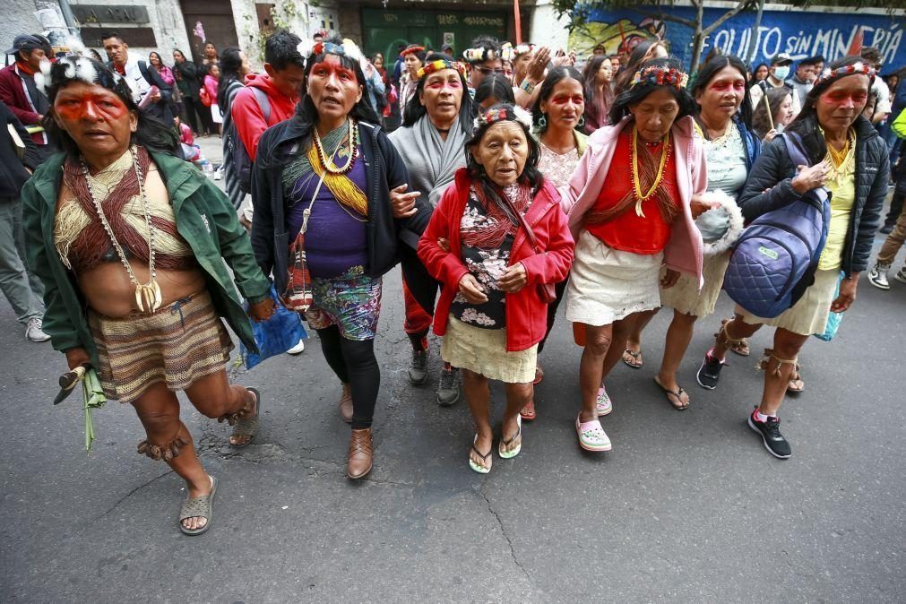 Líderes indígenas avisam que 26% do ecossistema da Amazónia foi destruído