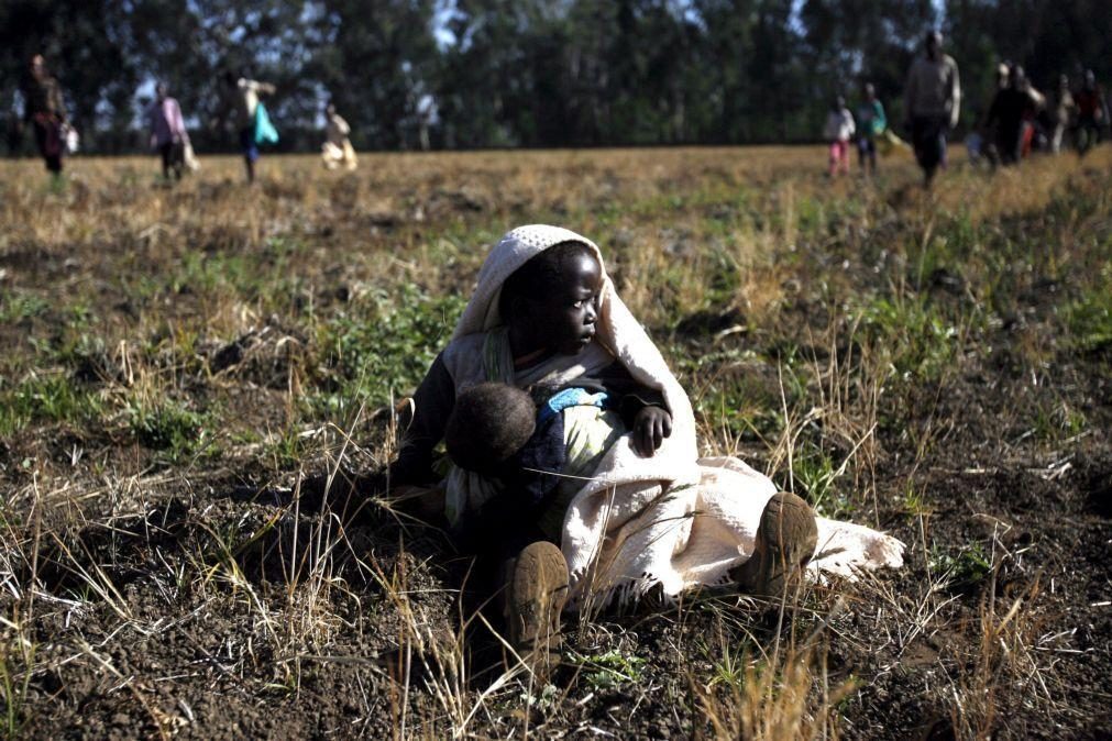 Mais de 22 milhões de pessoas vão ficar sem alimentos no Corno de África - Cruz Vermelha