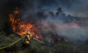 PJ detém suspeito de 15 incêndios que queimaram 35 hectares