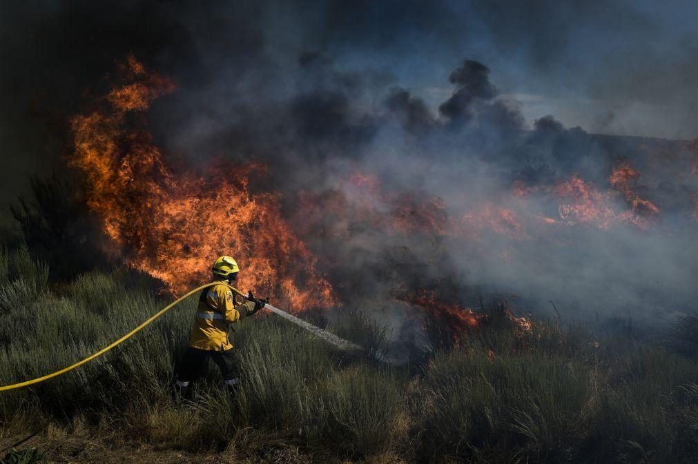 PJ detém suspeito de 15 incêndios que queimaram 35 hectares