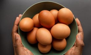 Este é o número de ovos que pode comer por dia