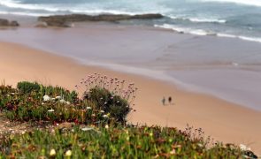 Portugal regista mais de 100 mortes por afogamento neste ano