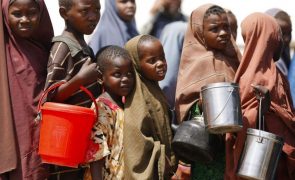 Crise alimentar agrava-se na Somália com 513 mil crianças em malnutrição severa