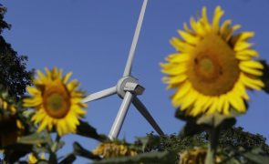 Parlamento Europeu quer elevar para 45% o consumo de energias renováveis em 2030