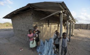 Seca empurrou para a fome 942 mil crianças no Quénia
