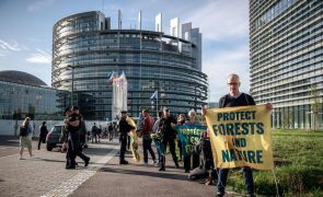 Greenpeace ameaça Comissão Europeia com tribunal por causa da classificação energética