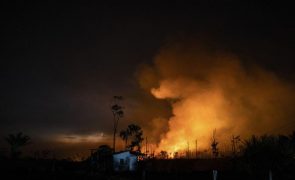 Brasil ultrapassa número de incêndios registado em todo o ano de 2021