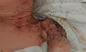 Morreu idosa filmada com formigas no corpo em lar de Loulé [vídeo perturbador]