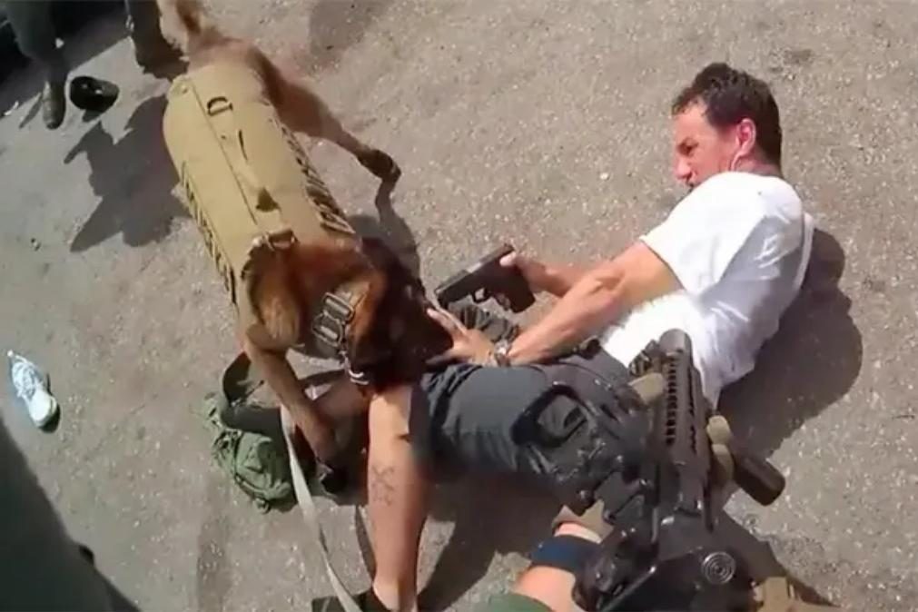 Agentes matam homem que apontou arma à cabeça de cão polícia [vídeo]