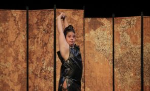 Dançando com a Diferença estreia espetáculo inclusivo sábado no Rivoli