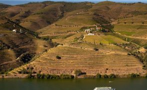 Projeto G.O.T.A. sensibiliza viticultores do Douro para gestão eficiente da água