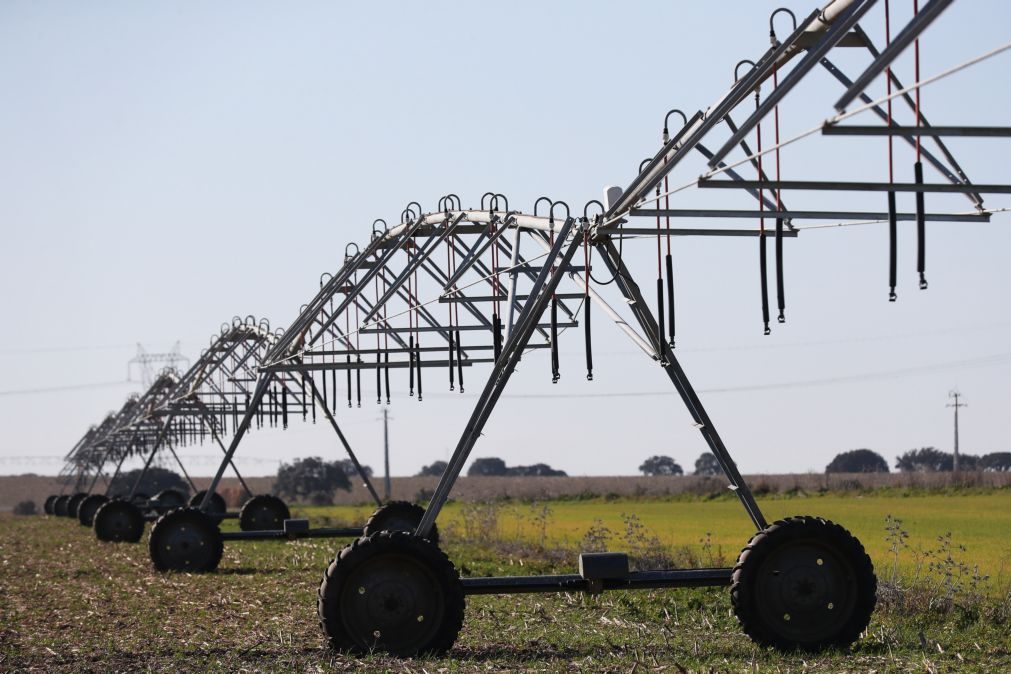 Agricultores vão ter apoio 