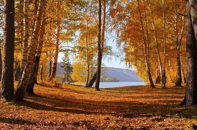 Meteorologia: Previsão do tempo para quinta-feira, 13 de outubro