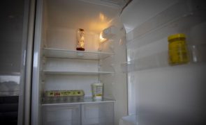 Menos de um terço dos frigoríficos é eliminado corretamente, segundo um estudo