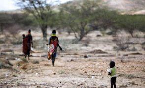 Uma morte a cada 36 segundos no Quénia, Somália e Etiópia devido à fome