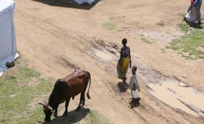 Etiópia: Guterres preocupado com escalada da violência na região de Tigray