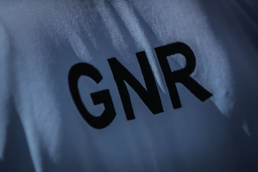 GNR apreende 460 quilos de biqueirão por captura ilegal na Figueira da Foz