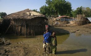 Apelo mundial para ajudar África contra a crise climática em 250 revistas de saúde