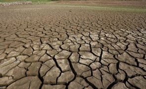 Incêndios e seca são as principais preocupações ambientais dos portugueses