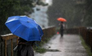 Mais de 260 ocorrências registadas hoje no continente devido a chuva e vento