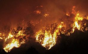 Incêndio queimou 500 hectares em Espanha desde domingo por causa do vento forte