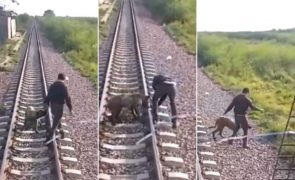 Maquinista pára comboio para salvar cão acorrentado à linha ferroviária [vídeo]