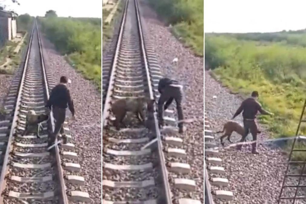 Maquinista pára comboio para salvar cão acorrentado à linha ferroviária [vídeo]