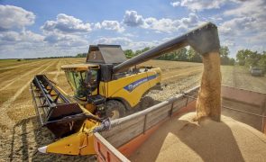 Turquia negoceia com Rússia para regresso do acordo de exportação de cereais