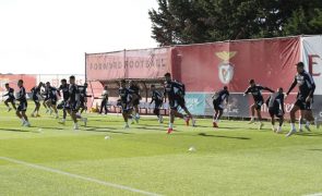 LC: Benfica procura fechar primeira fase com vitória no grupo H