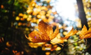 Meteorologia: Previsão do tempo para segunda-feira, 13 de fevereiro