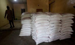 Governo guineense vai importar 60 mil toneladas do arroz para atenuar subida dos preços
