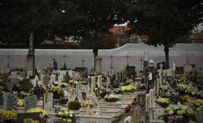 Mumificação natural cresce em cemitérios nacionais -- investigadora U. Coimbra
