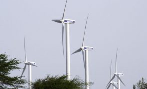 Cabo Verde quer antecipar meta de 50% de energias renováveis prevista para 2030