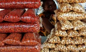 China concede isenção fiscal a produtos oriundos da Guiné-Bissau e São Tomé e Príncipe