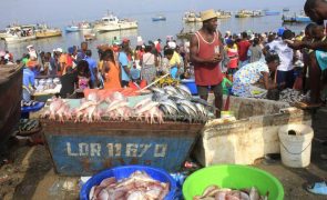 Angola cria plano de fomento às pescas de 307,4 milhões de euros para 2022-2027