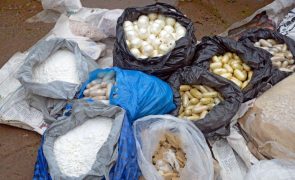 PGR alerta para aumento de consumo de droga em Moçambique