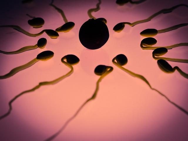 Concentração do esperma é metade do que era há 50 anos